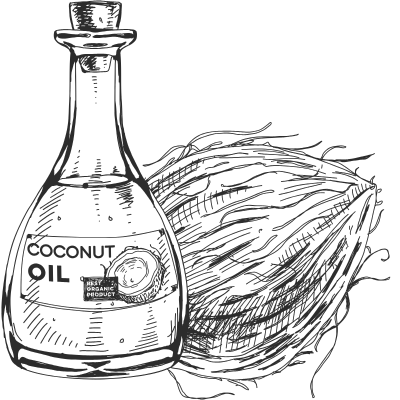 Gezeichnete Flasche Kokosl und eine Kokosnuss.